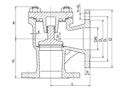 Marine Cast Iron Angle Lift Check Valve GB/T592-93 Type B/BS