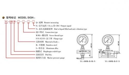 Marine Diaphragm Pressure Gauge YC-M series