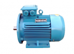 YE2 Series Three-Phase Asynchronous Motor