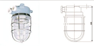 DS7-2M-1 Work light