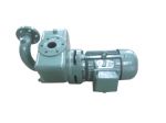 1.5CWX-3 Series Self-Priming Vortex Pump