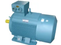 YE3 Series Three-Phase Asynchronous Motor 1