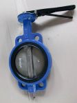 JIS Marine Butterfly Valve