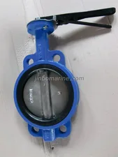 Marine Cast Iron Wafer Butterfly Valve JIS F7480 5K/10K/16K (Lever Operation) thumbnail 1