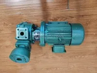 1WZ-0.9 Vorrex Pump 3
