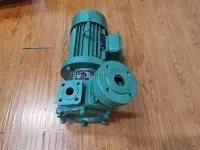 1WZ-0.9 Vorrex Pump 4