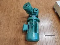 1WZ-0.9 Vorrex Pump 5