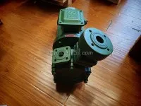 1WZ-0.9-Y Marine Vortex Pump 2