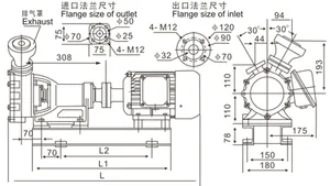 1WZ-0.9Z marine direct connected self-priming vortex pump thumbnail 1