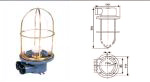 Incandescent light CCD6-2