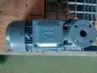 0.5CWF-20(B) marine crushing discharge pump