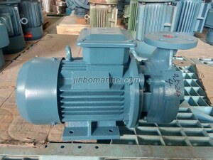 0.5CWF-20(B) marine crushing discharge pump