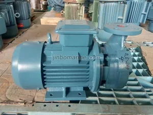 0.5CWF-20(B) marine crushing discharge pump thumbnail 2