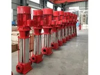 XBD1.6/0.17-DLGW Vertical multi-stage centrifugal fire water supply 2