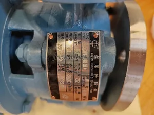 0.5CWF-10(B)Marine crushing pump thumbnail 2