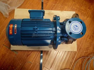 0.5CWF-30B Marine Crushing Discharge Pump thumbnail 1