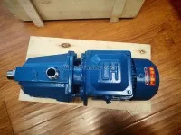 25ZB-2-20 Marine Sludge Discharge Pump 2