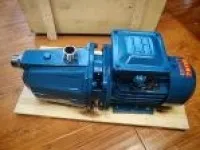 25ZB-2-20 Marine Sludge Discharge Pump 1