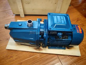 25ZB-2-20 Marine Sludge Discharge Pump thumbnail 1
