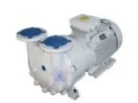 2BV Series Vacuum Pump 1