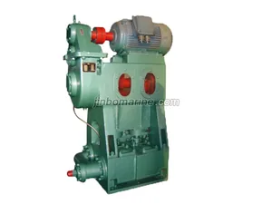 2DSL Series Electric Reciprocating Pump thumbnail 1