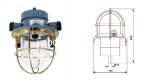 Incandescent Light CCD7