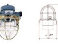 Incandescent Light CCD7