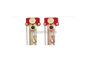 307C Type Marine Explosion-proof Chain Type Hand Chain Hoist thumbnail 1