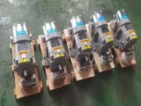 3RP Series Rotary Lobe Pump 2