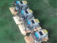 3RP Series Rotary Lobe Pump 3