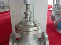 API Globe Valve