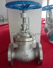 API Globe Valve thumbnail 1