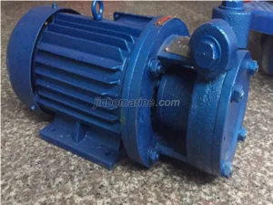 3/4W0.7-10.5 Single-stage Vortex Pump thumbnail 1