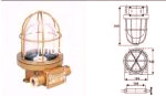 Incandescent Light CCD9-5