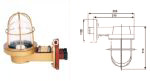 Incandescent Light CCD9-6