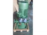 80CLZ-7B marine vertical self-priming pump