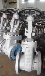 API WCB Gate Valve