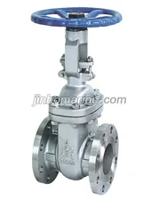 API Stainless Steel Gate Valve thumbnail 1