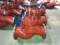 Marine Cast Iron Screw Down Globe Check Valve GB/T591-2008 Type A/AS 1