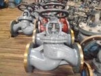 Marine Cast Steel Overboard Stop Check Valve GB/T1853-2008 Type A/AS