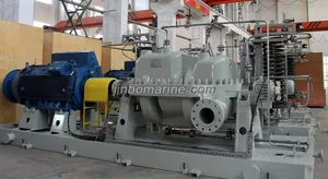 Horizontal Split Casing Multi-Stage Centrifugal Pump thumbnail 1