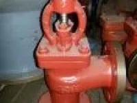 Marine Cast Iron Angle Screw Down Globe Check Valve GB/T591-2008 Type B/BS 1