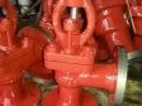 Marine Cast Iron Angle Globe Valve GB/T590-2008 Type B/BS 1