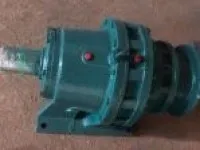 BWY3322-187 Cycloidal Pin Wheel Decelerator 1