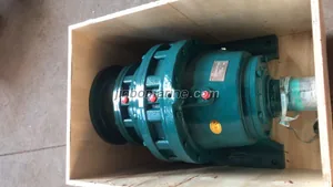 BWY3322-187 Cycloidal Pin Wheel Decelerator thumbnail 2