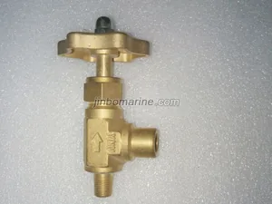Brass Needle Angle Valve with Male & Female Ends thumbnail 1