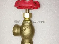 Bronze BSP Female Threaded Angle Globe Valve 1