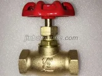 Bronze BSP Female Threaded Globe Valve 1