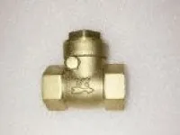 Bronze DIN Swing Check Valve with BSP Female Threaded Ends 1