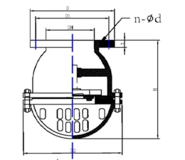Cast Iron Foot Valve 5K/10K thumbnail 2